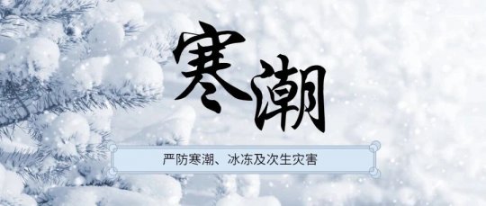 雨雪寒潮来袭，济矿物流全力以赴战寒潮保畅通